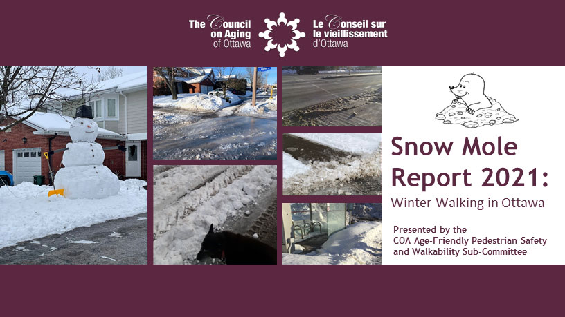Snow Mole Report 2021