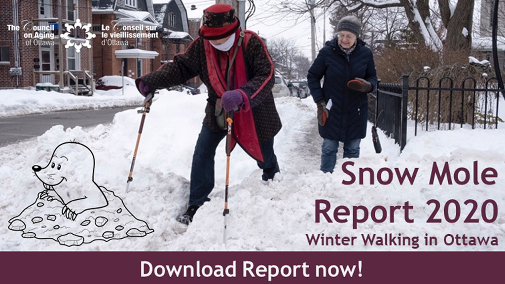 Older adults walking on snow with walking sticks