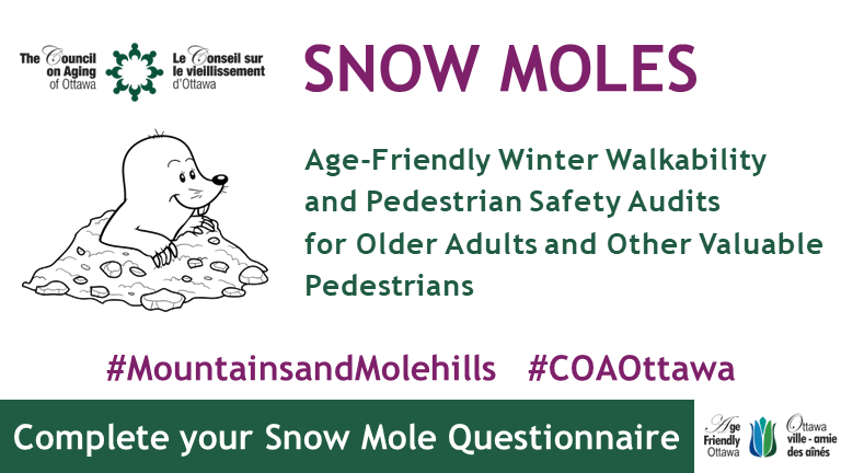 Snow Mole Banner